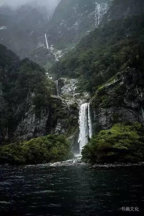 植物大战僵尸：花园战争